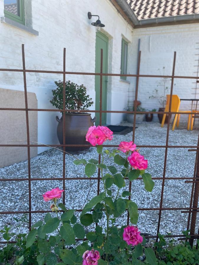 مبيت وإفطار Oedelem De Wabisabiboerderij المظهر الخارجي الصورة